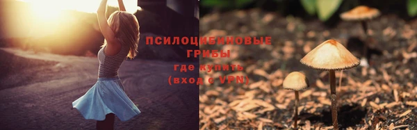метадон Дмитриев