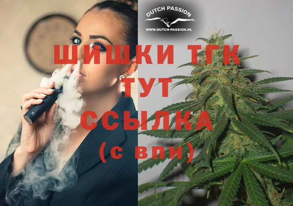 молекула духа Елабуга