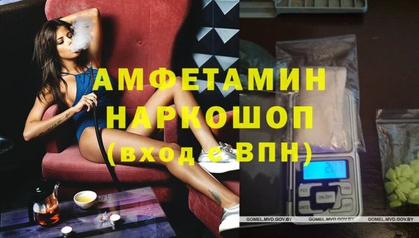 молекула духа Елабуга