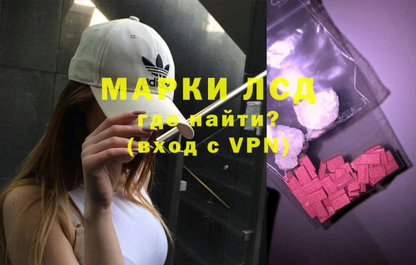 молекула духа Елабуга