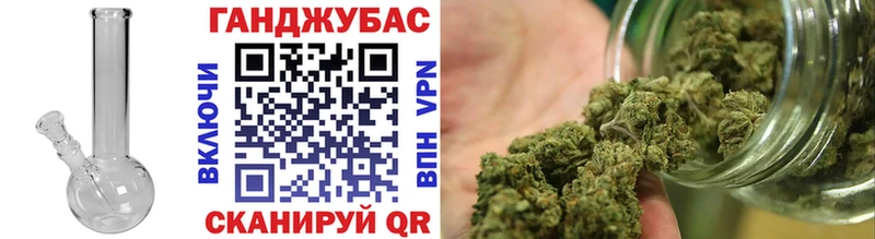 Конопля сатива  Купить где  Благовещенск 